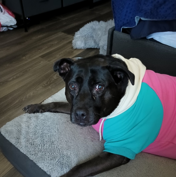 New & lightly used plus size clothing, Coach bags & misc items @ great prices! - Picture 3 of 5